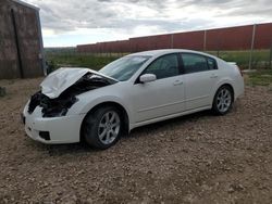 2007 Nissan Maxima SE en venta en Rapid City, SD