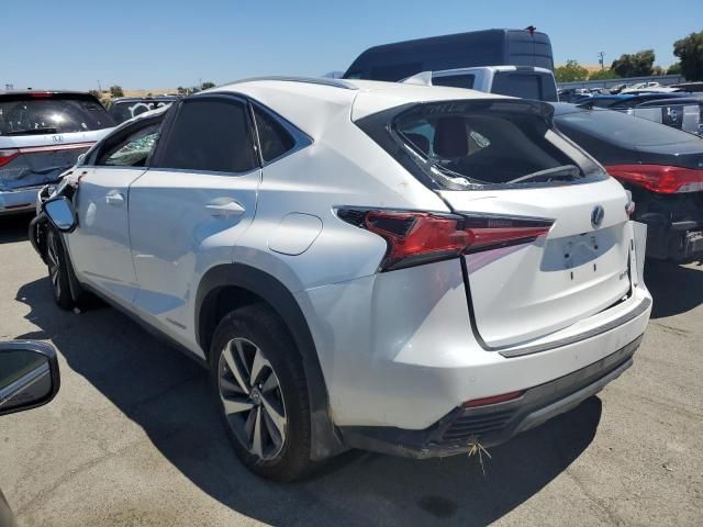 2021 Lexus NX 300H Base