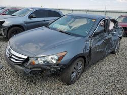 Honda salvage cars for sale: 2012 Honda Accord EX