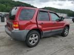 2007 Ford Escape XLT