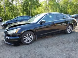 Honda salvage cars for sale: 2011 Honda Accord SE