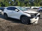 2024 Lexus NX 250 Base