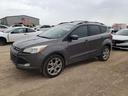 Salvage cars for sale at Amarillo, TX auction: 2013 Ford Escape SE