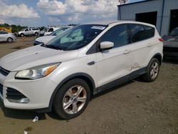 Salvage cars for sale at Windsor, NJ auction: 2013 Ford Escape SE