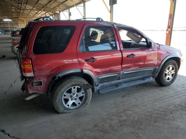 2005 Ford Escape XLT