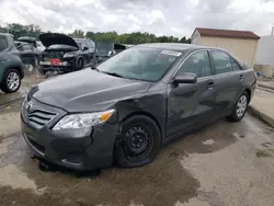 Salvage cars for sale at Louisville, KY auction: 2010 Toyota Camry Base