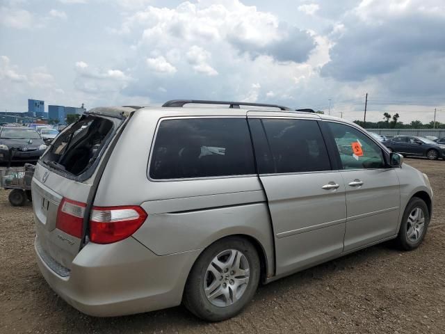 2005 Honda Odyssey EXL