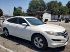 2010 Honda Accord Crosstour EX