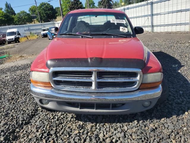 2004 Dodge Dakota Quad SLT