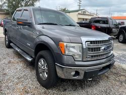 Salvage trucks for sale at Lebanon, TN auction: 2013 Ford F150 Supercrew