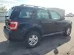 2012 Ford Escape XLS