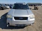 2007 Ford Escape XLT