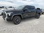 2024 Toyota Tundra Crewmax Limited