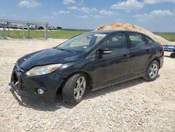 Ford salvage cars for sale: 2014 Ford Focus SE