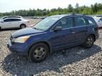 2010 Honda CR-V LX