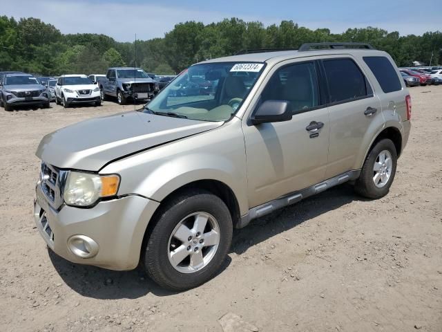 2010 Ford Escape XLT