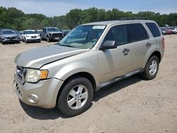 Ford salvage cars for sale: 2010 Ford Escape XLT