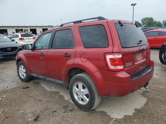 2012 Ford Escape XLT