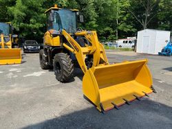 Vehiculos salvage en venta de Copart North Billerica, MA: 2024 Other Loader