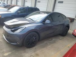 Salvage cars for sale at Louisville, KY auction: 2023 Tesla Model Y