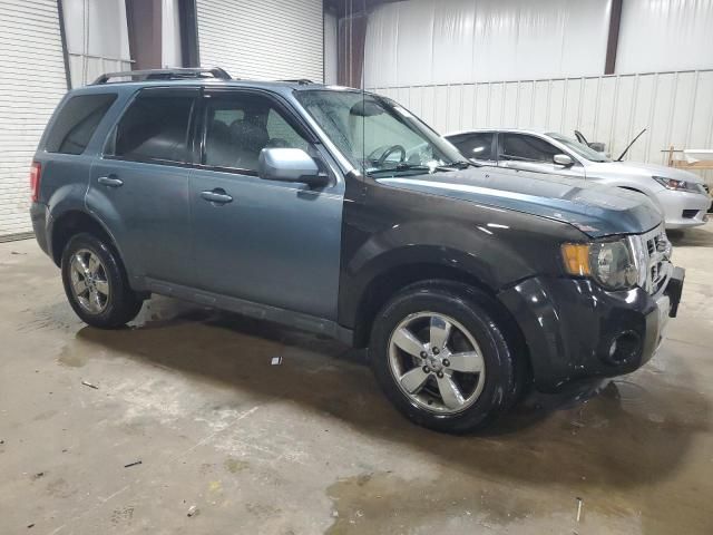 2010 Ford Escape Limited