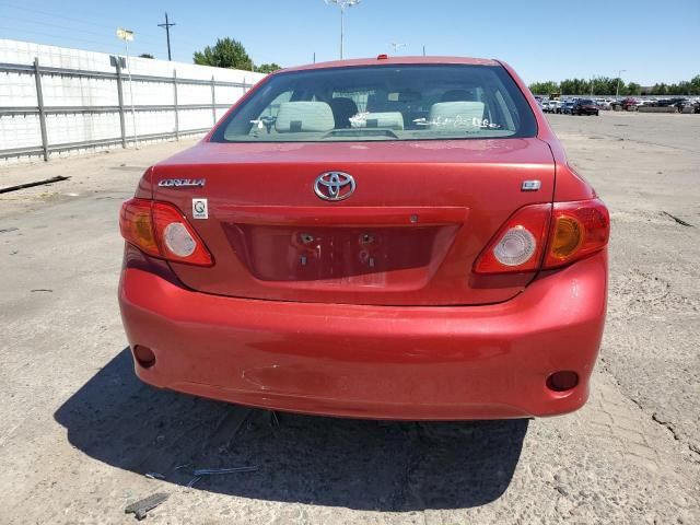 2010 Toyota Corolla Base