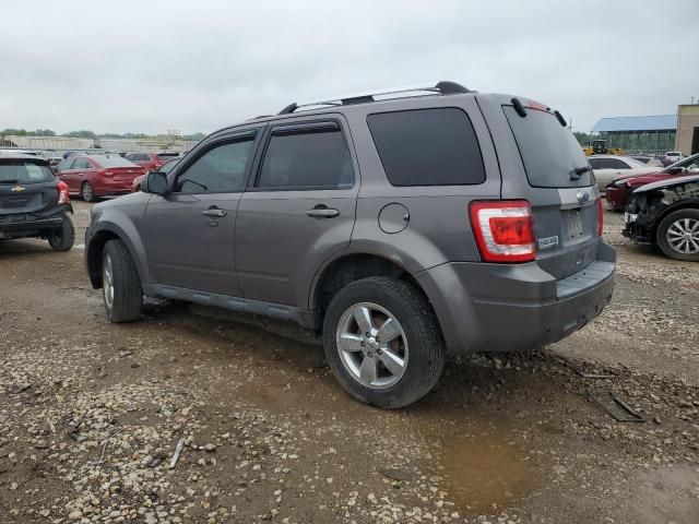 2011 Ford Escape Limited