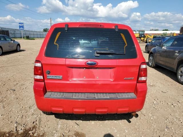 2009 Ford Escape XLS