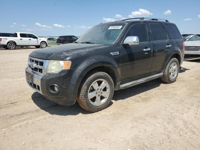 2011 Ford Escape Limited