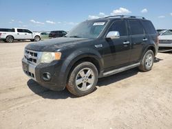 2011 Ford Escape Limited en venta en Amarillo, TX