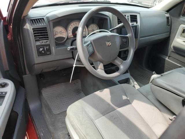 2007 Dodge Dakota SLT