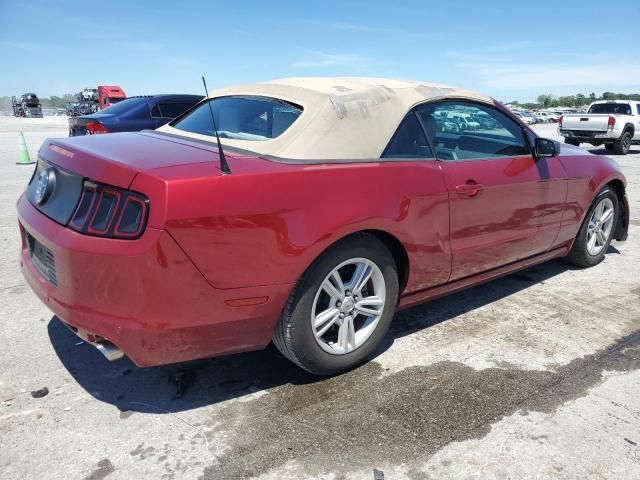 2014 Ford Mustang