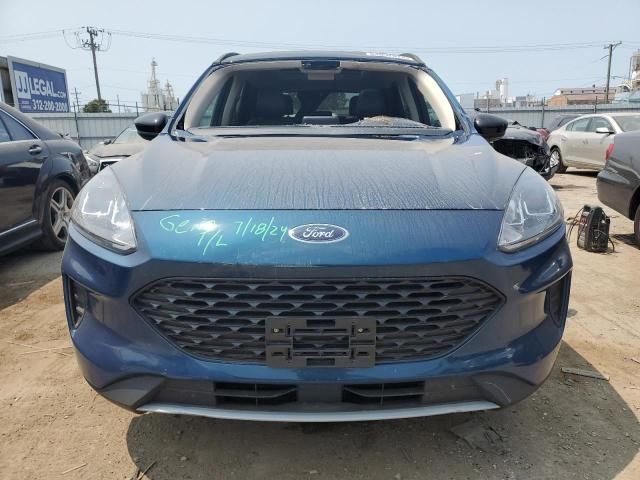 2020 Ford Escape SE Sport