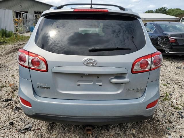 2010 Hyundai Santa FE SE