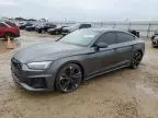 2023 Audi S5 Prestige