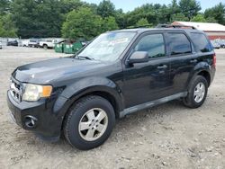 Ford Vehiculos salvage en venta: 2011 Ford Escape XLT