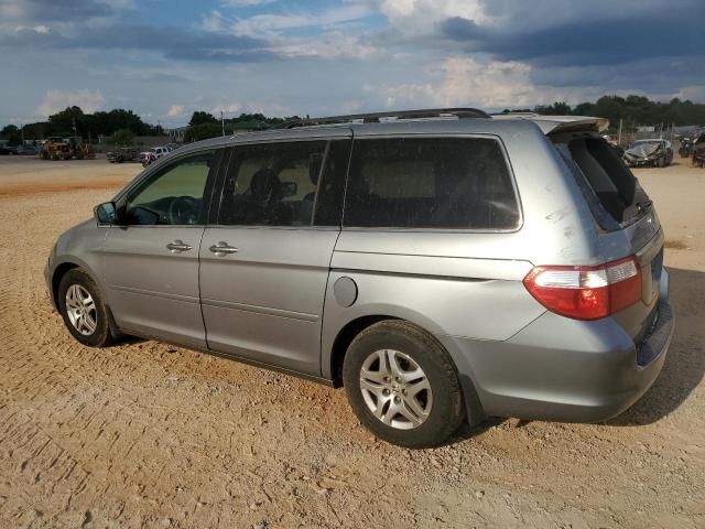 2005 Honda Odyssey EXL