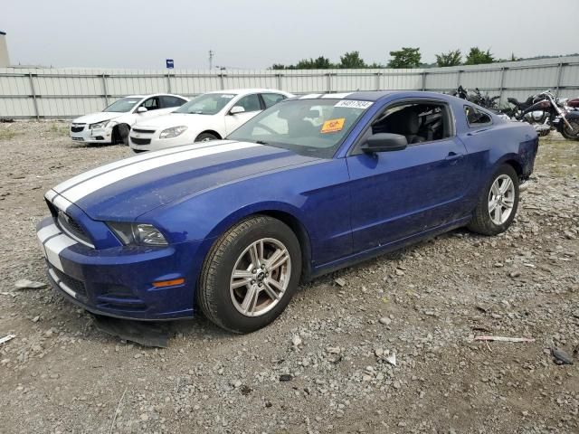 2013 Ford Mustang