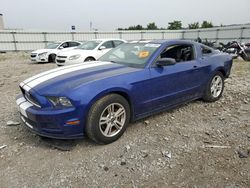 Vehiculos salvage en venta de Copart Earlington, KY: 2013 Ford Mustang