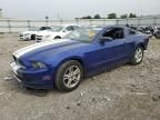 2013 Ford Mustang