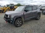 2019 Jeep Renegade Trailhawk