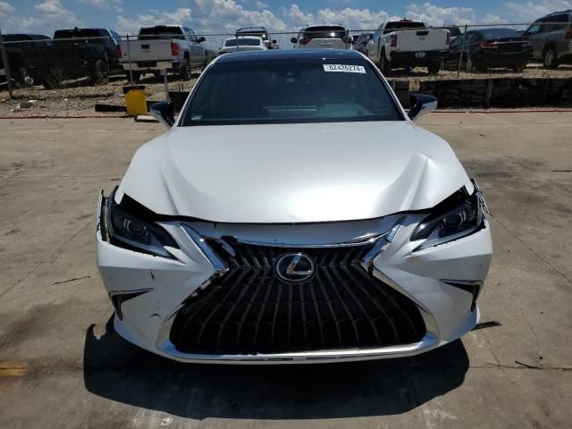 2024 Lexus ES 350 Base