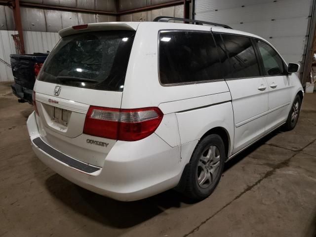 2005 Honda Odyssey EXL