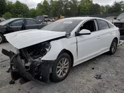 Salvage cars for sale at Madisonville, TN auction: 2019 Hyundai Sonata SE