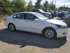 2014 Honda Accord EXL