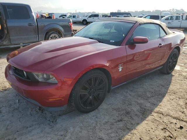 2010 Ford Mustang GT