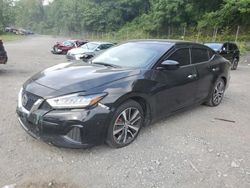 Salvage cars for sale from Copart Marlboro, NY: 2019 Nissan Maxima S