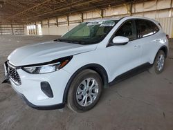 Salvage cars for sale at auction: 2023 Ford Escape Active