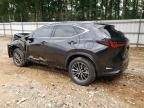 2024 Lexus NX 350H Base