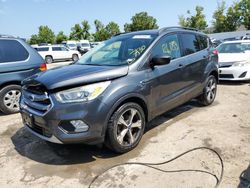 Salvage cars for sale at Bridgeton, MO auction: 2017 Ford Escape SE